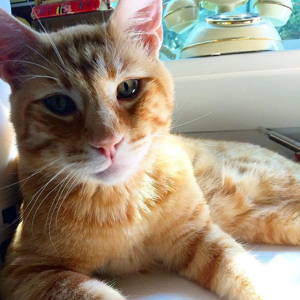 Photo by B Frayn Masters