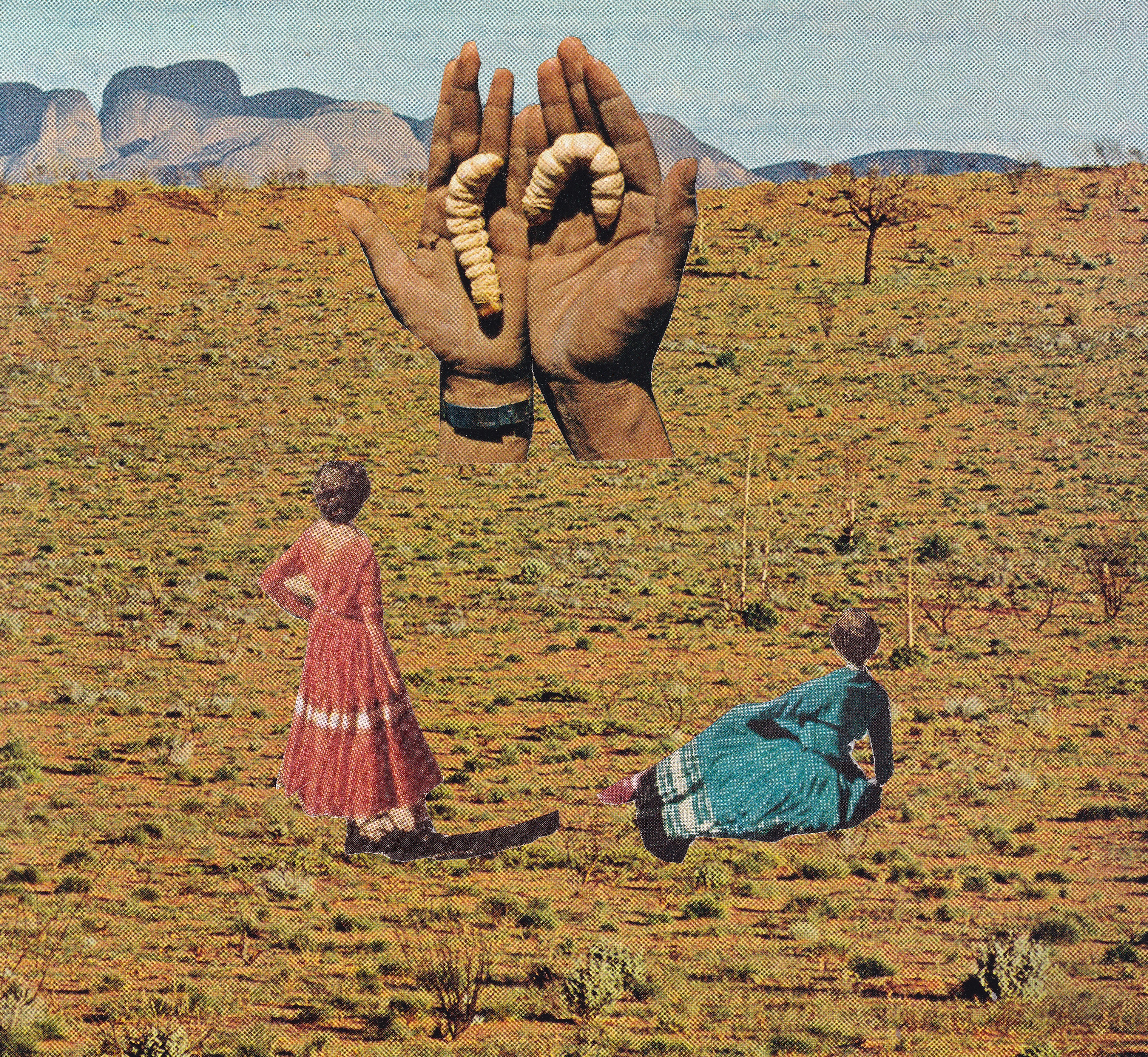 Look at What We Found